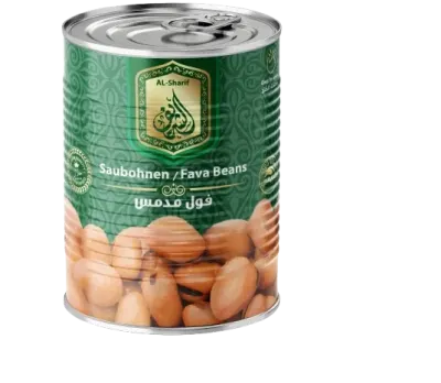 فول مدمس