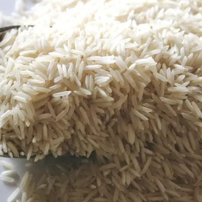 أرز مصري قصير الحبّة